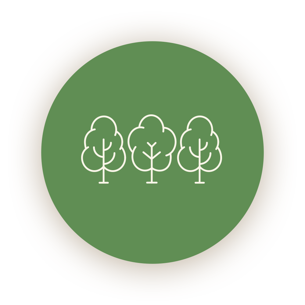 trees icon